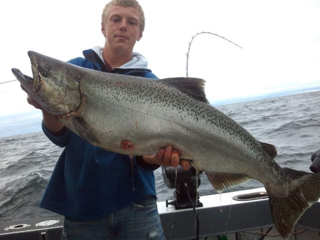 Huge Salmon caught during charter fishing trip on Lake Michigan