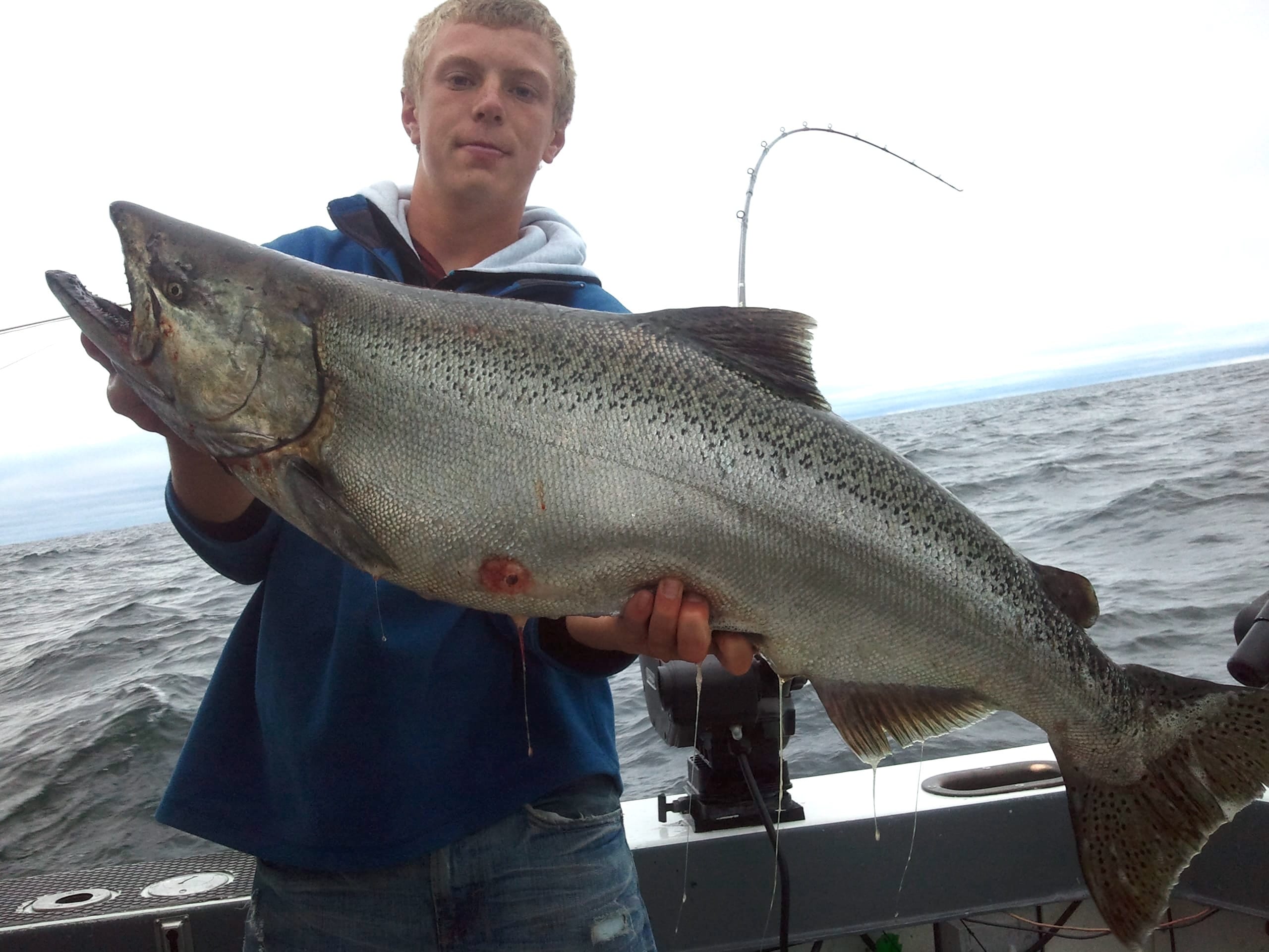 Huge Salmon caught during charter fishing trip on Lake Michigan