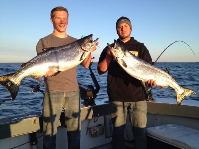 Two salmon or steelhead fish caught in Door County