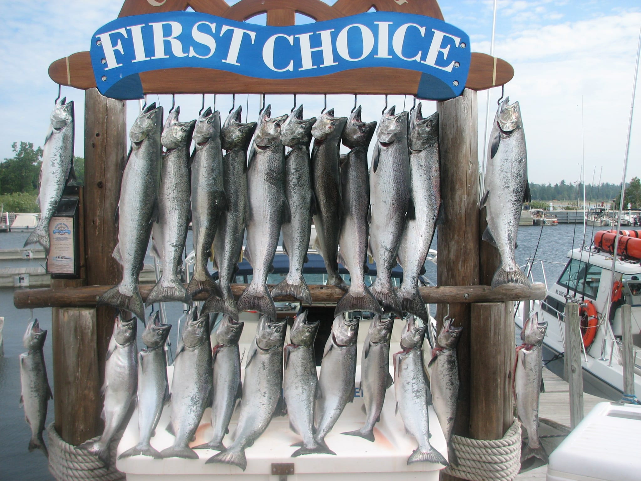 First Choice Charter Fishing in Door County hauls in several salmon and steelhead