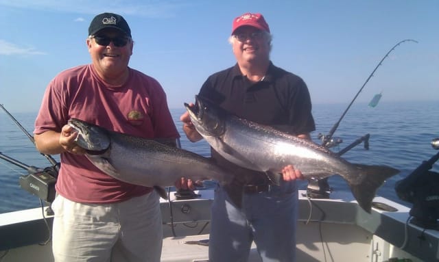 Salmon and Steelhead Fish Caught on Lake Michigan