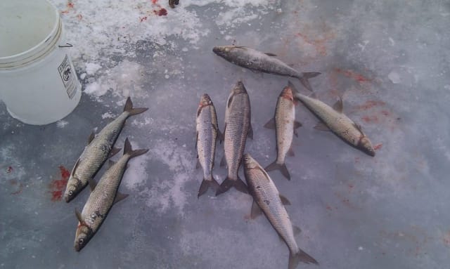 Ice Fishing in Door County