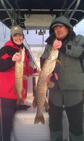 2 large northern pike caught during Door County fishing charter