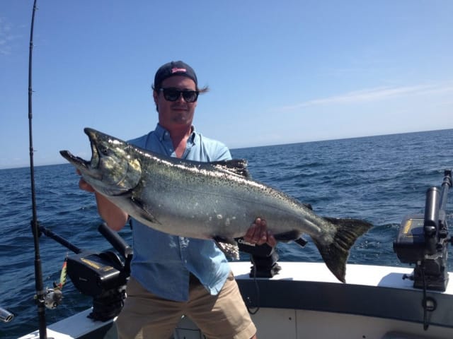 huge salmon caught during Door County Charter Fishing Trip