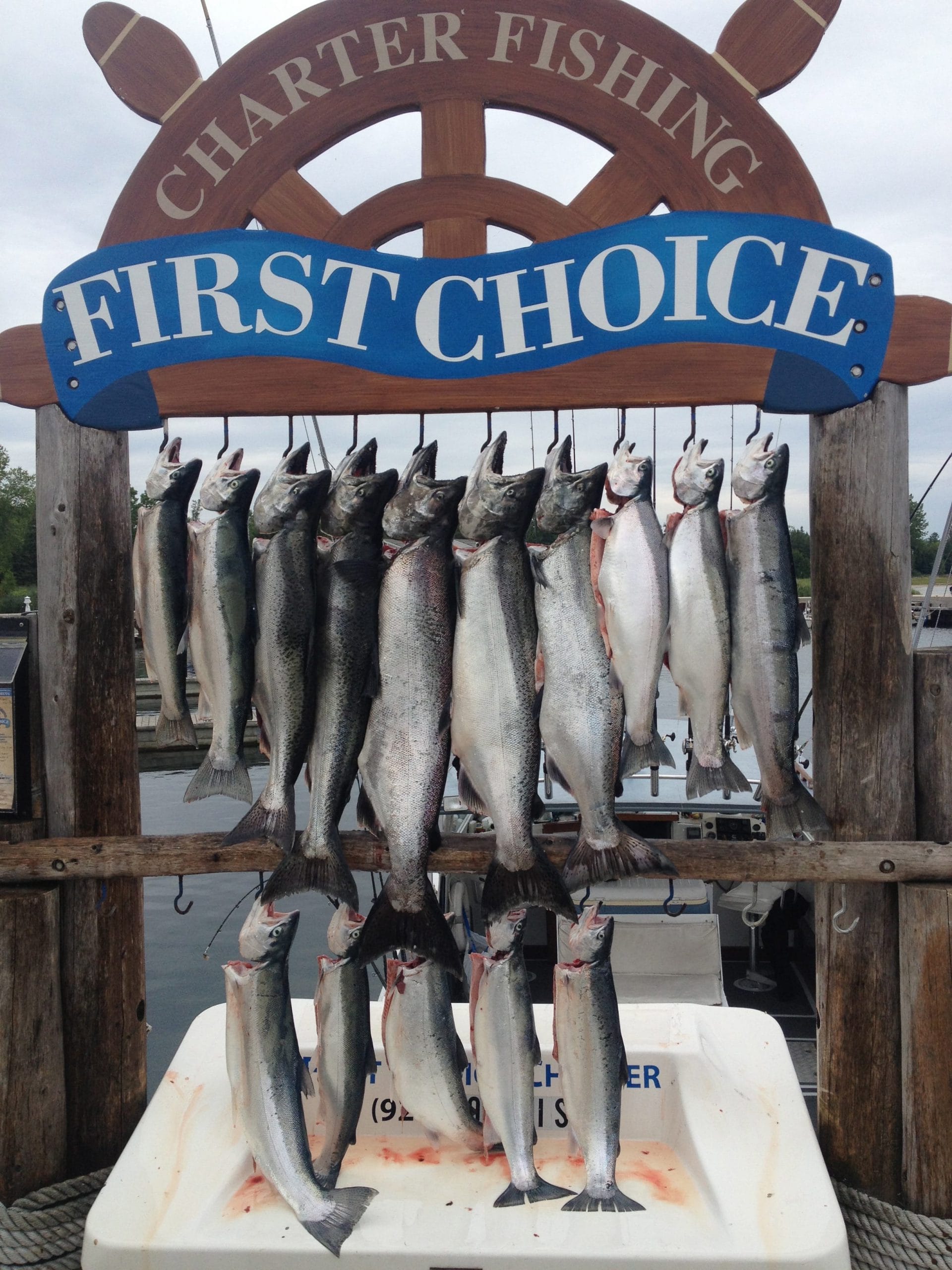Charter Fishing in Door County